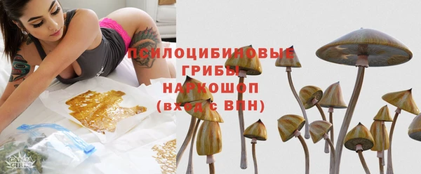 мдпв Арсеньев