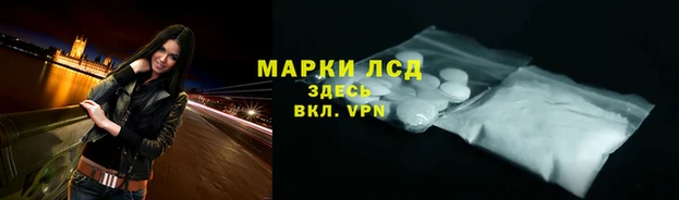 спиды Аркадак