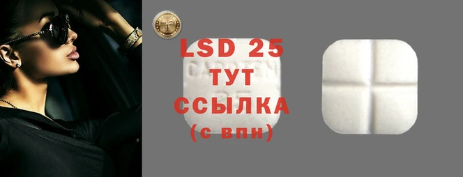 спиды Аркадак
