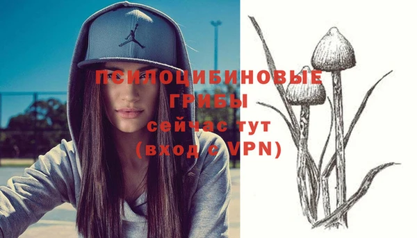 спиды Аркадак