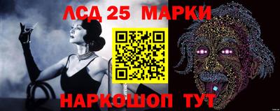 гашик Кунгур