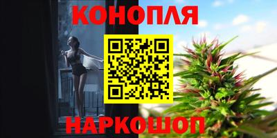 гидропоника Гатчина