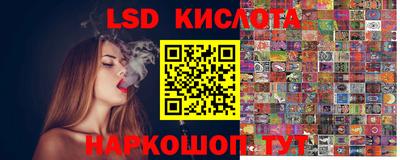 дживик Гай