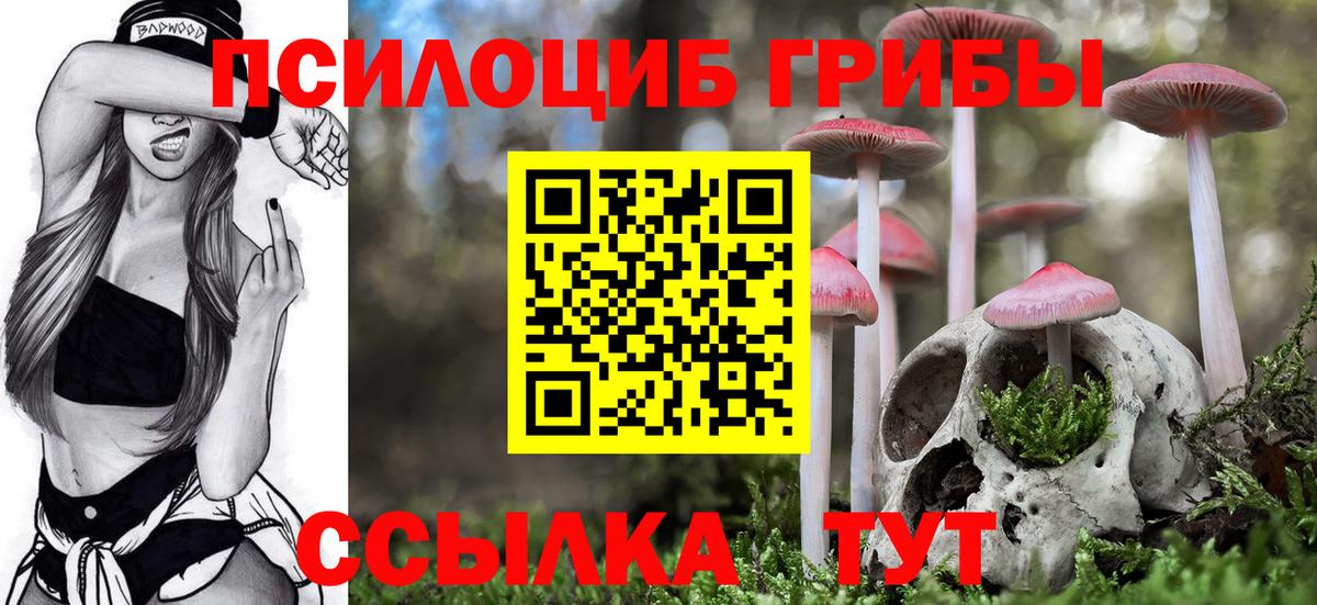 Асбест  Псилоцибиновые грибы прущие грибы  Псилоцибиновые грибы Psilocybine cubensis  Вход с VPN 