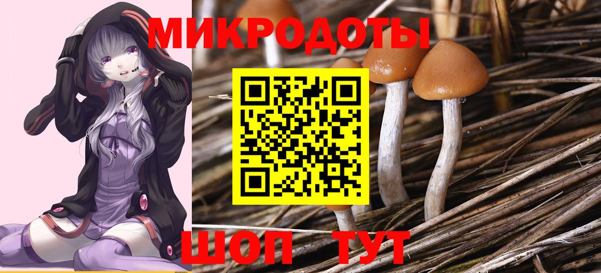 Псилоцибиновые грибы GOLDEN TEACHER Асбест